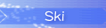 ski