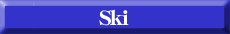 �X�L�[